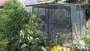 Unsere Wachtelvoliere mit dem Bienenhotel im Hintergrund