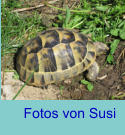 Fotos von Susi